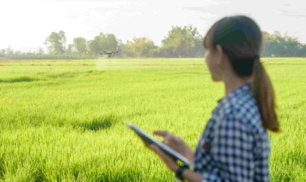 Smart Agriculture